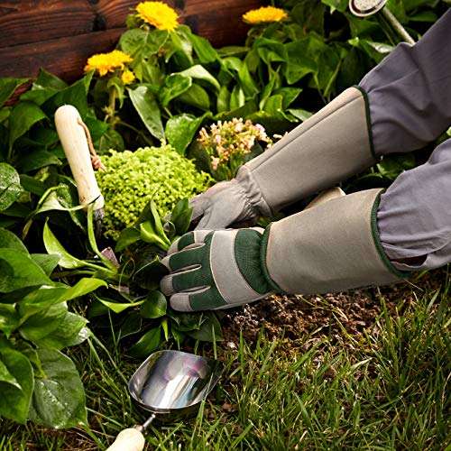 Amazon Brand Rose Pruning Thorn Proof Gardening Gloves with Forearm Protection, Green, L - £8.24 @ Amazon