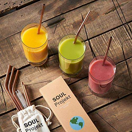 Soul Projekt 8pk Stainless Steel Drinking Straws in Rose Gold, with 2 Cleaning Brushes & Storage Bag Sold By Buydefinition / FBA