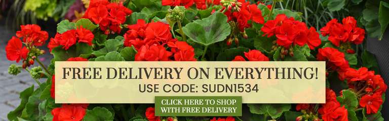 Free Delivery On Eveything (No Minimum Spend) - W/Code