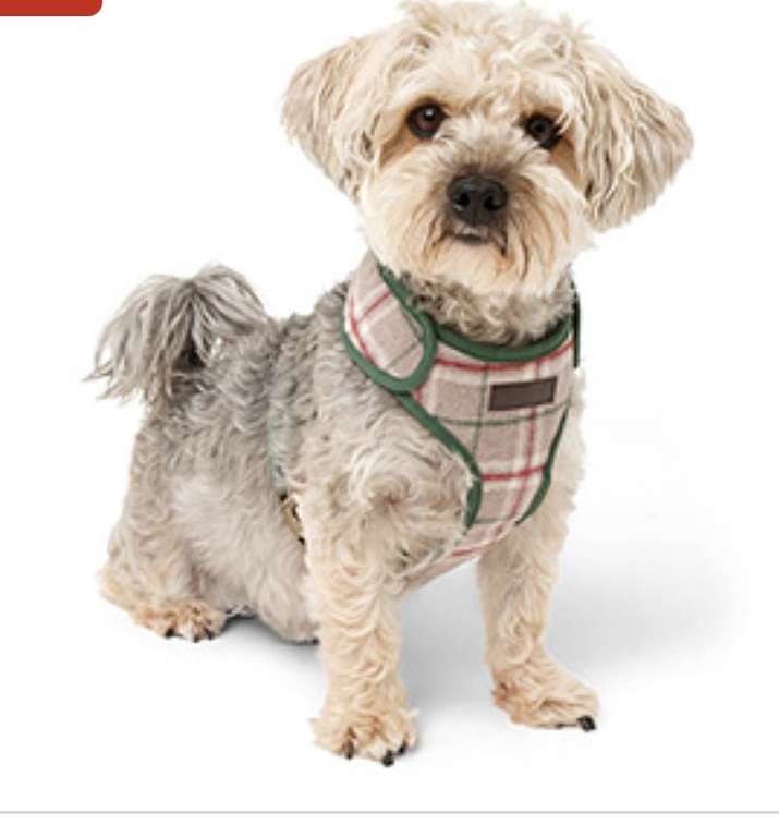 Wainwright's Dog Lead/Harnesses/Collars/Accessories. Upto 50% off FREE C&C