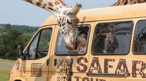 Buy One Get One Free Tickets for visits to the Safari Park