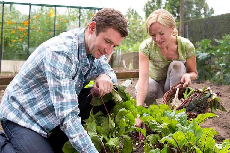 RHS launching 'access for all' scheme - Offers low income households £1 entry to it's Gardens (From 1st April 2023)