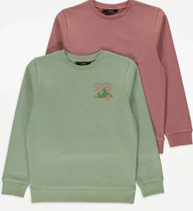 Scenic Graphic Sweatshirts 2 Pack Ages 7-16 click and collect