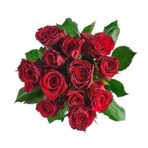 Co-op Valentine's Dozen Red Roses - Member Price