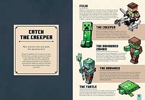Minecraft Catch the Creeper and Other Mobs