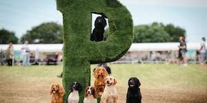 P in the Park - summer dog festival in Scotland - Entry PP For 1 Day