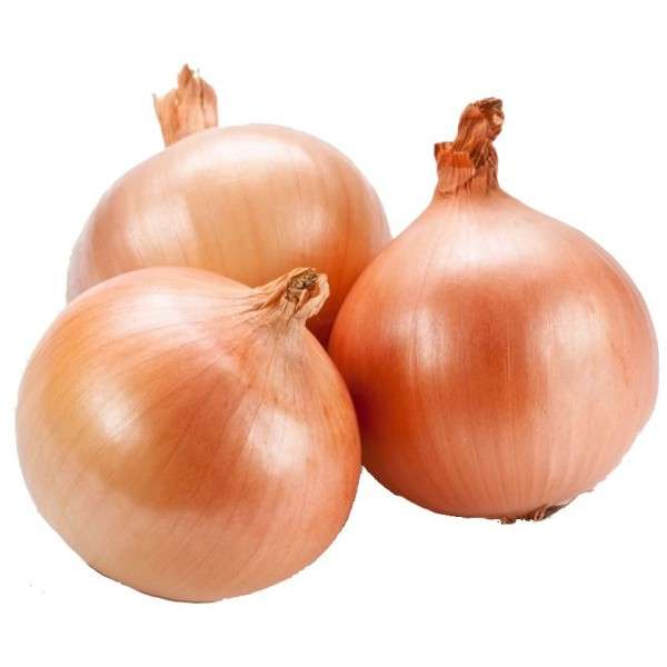 Free Brown and Red Onions @ Waitrose & Partners Westbury Park, Bristol