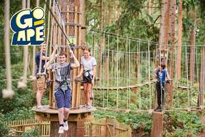 Treetop Adventure Plus for One at Go Ape - £14 with code @ BuyAGift