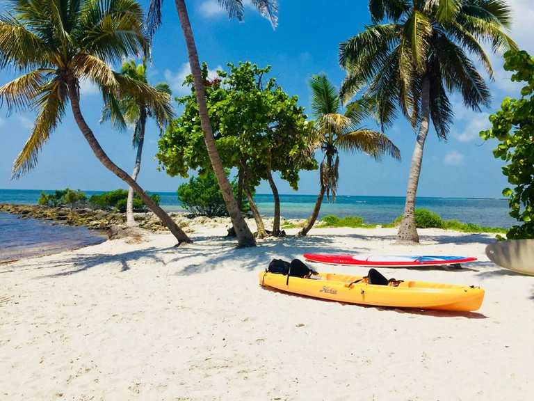Last-minute Nonstop Return Flights from Newcastle to Melbourne, Florida, US starting £350 | TUI | e.g. Oct 17-24