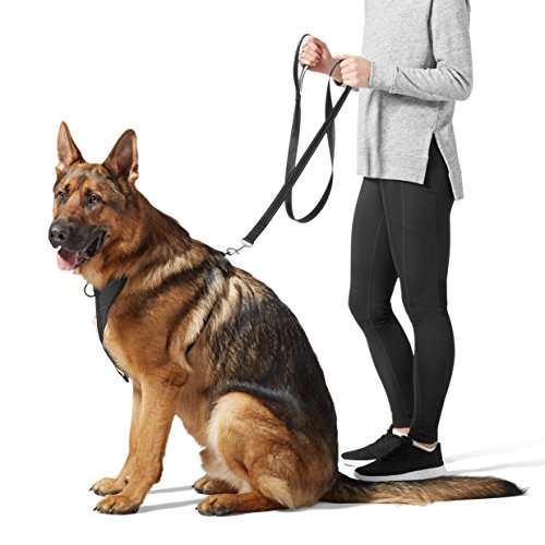Amazon Basics Padded Handle Dog Leash - 1.52 m, Black £4.52 @ Amazon