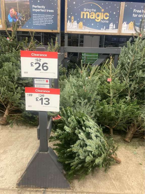 Christmas trees 50% sale - see photos instore @ B&Q (Yeovil)