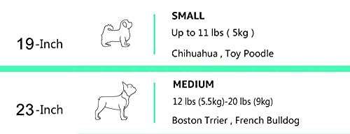 Amazon Basics 23-Inch (58 cm) Two-Door Top-Load Pet Kennel £20.59 @ Amazon