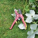 King Fisher Pro Gold 8" Deluxe Ratchet Secateurs Pruning Shears