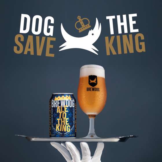 12 x Brewdog Ale To The King Pale Ale 330ml Beer Cans Best Before 15/03/2024 - Minimum order value £25