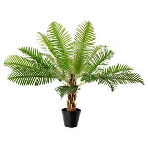 FEJKA Artificial potted plant, in/outdoor Fern palm, 17 cm free C&C (delivery with large orders)