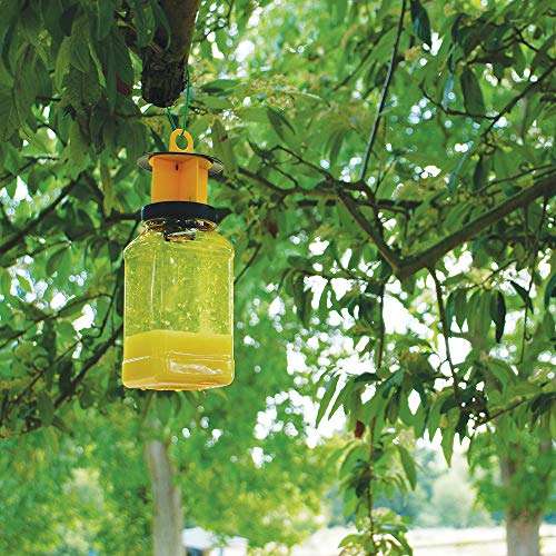 Zero STV336 Fly Catcher (Super Effective, Refillable Insect Attractant for Outdoor Use), Packaging may vary, Yellow (Pack of 2)