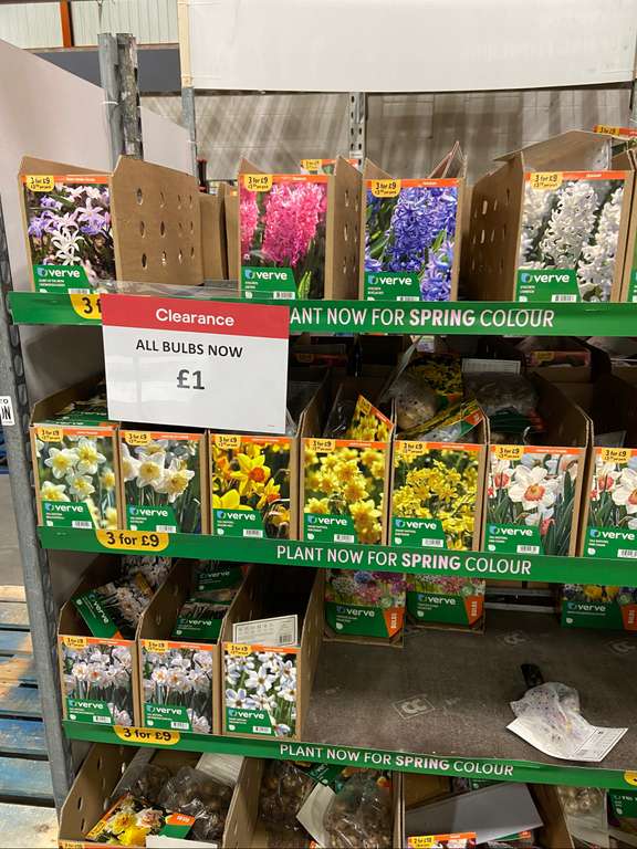Any Spring Bulbs pack £1 - In store @ B&Q Glasgow