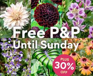 30% off everything + Free P&P with code e.g. 15 x Ranucululus bulbs £1.99 Delivered