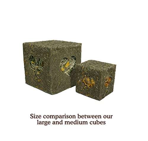 Rosewood Naturals Forage Cube for Small Animals, Large - £4.09 or £3.48 subscribe & save from Amazon