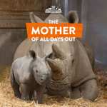 Mother's day Knowsley Safari 18th / 19th Mar - Mum's free entry with purchase of child ticket @ Knowsley Safari Park