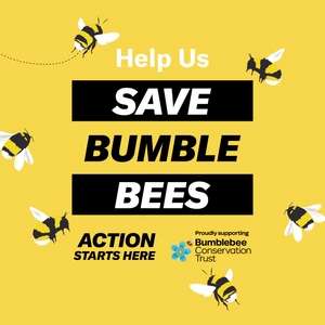 Free seeds in-store with Bee Mug or Bag Purchase at Sports Direct