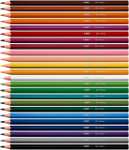 BIC Colour Up Colouring Pencils - Assorted Colours, Pack of 12 S&S £2.48