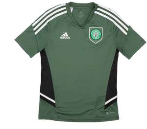Celtic Training Shirt 2021 size L - Tillicoultry Outlet