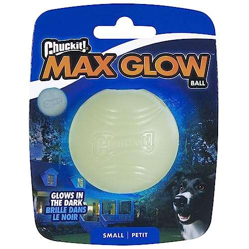 Chuckit! Max Glow Dog Ball Glow In The Dark Light Up Ball High Visibility Fetch Dog Toy (SMALL)