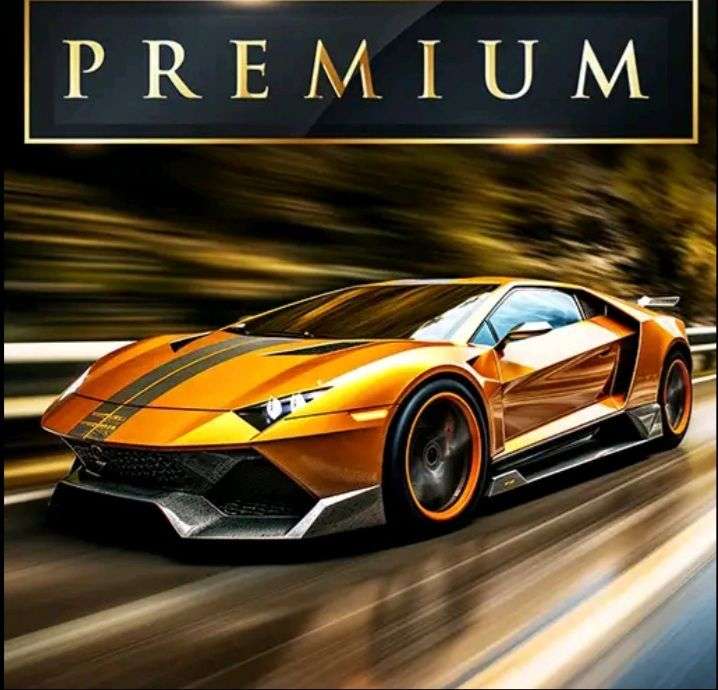 Mr Racer Premium Version