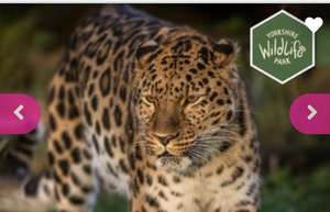 Day Entry Pass & Safari Nights Concert - Yorkshire Wildlife Park £9.48 Kids £11.25 Adults August dates @ Wowcher