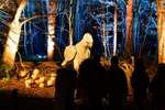 Harry Potter: A Forbidden Forest Experience - 2 for 1 entry - £31 Each (With Code) @ Fever