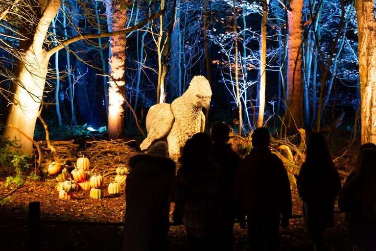 Harry Potter: A Forbidden Forest Experience - 2 for 1 entry - £31 Each (With Code) @ Fever