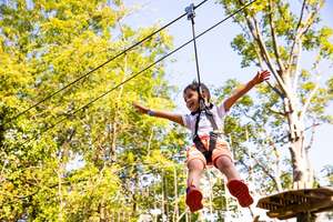 Treetop Adventure for One at Go Ape - £10 With Newsletter Sign-up Code - 25 Locations @ Buyagift