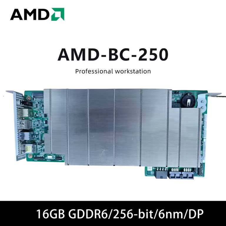 AMD BC250 Brand-New Graphics Card, 16GB GDDR6, 256-Bit, Single-GPU Graphics Card - SZ HONGXUNJIE ELECTRONIC Store