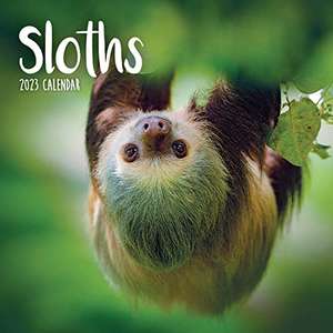 Sloths Mini Square Wall Calendar 2023 £1.49 (Temp OOS) @ Amazon
