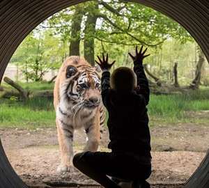 Knowsley Safari Park - 4 Person Pass for £37.50 @ Bauer Media