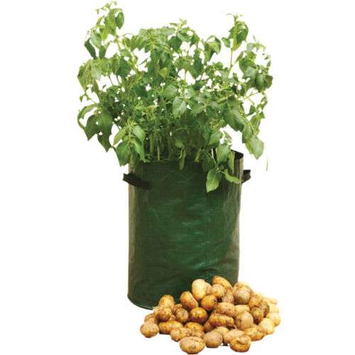 Potato Planting Grow Bag 9 Gallon (340mm X 450mm) Sold By 365-Online