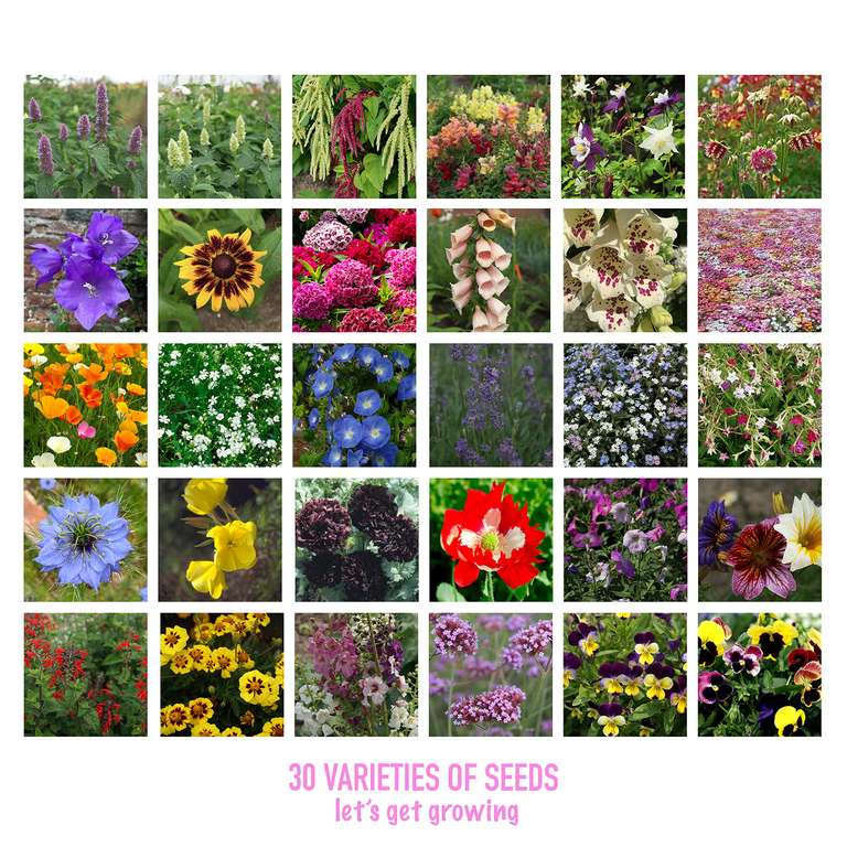 Scott&Co. Flower Seed Variety Pack - 30 Different Varieties of Flower Seeds sold by Scott&Co.