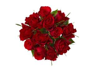 Valentines A Dozen Red Roses £3.99 @ Lidl - In Store From 11/2/23
