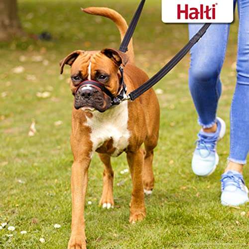 HALTI Optifit Headcollar Size Medium, Dog Head Harness to Stop Pulling on the Lead £11.80 @ Amazon