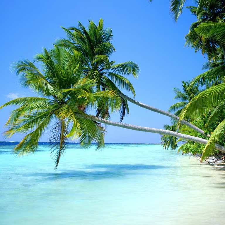 Return Flights from UK cities to Maldives from £319 | e.g. London Dec. 1st - 23rd | also Birmingham & Manchester via Turkish Airlines