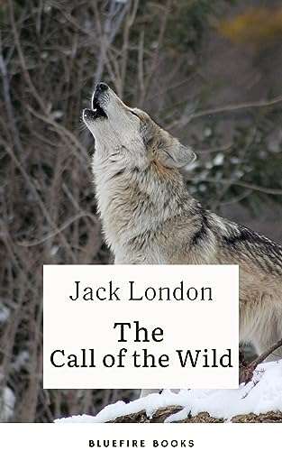 Into the Wild Yonder: Experience the Call of the Wild - Kindle Edition