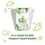 Simple Ultimate Collection in an elegant roped basket, 5 piece Gift Set, perfect set of gifts for her £12.50 @ Amazon