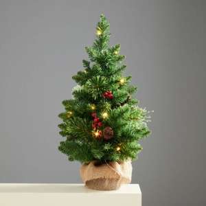 2ft Robert Dyas Pre-Lit Richmond Tabletop Christmas Tree £5.00 Free Click & Collect @ Robert Dyas