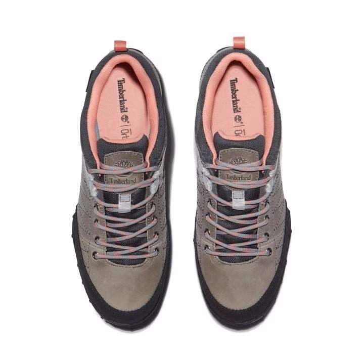 Timberland Greeley Approach Low Gore-Tex Waterproof Women's Shoes (Size: 3.5 - 9) - W/Code