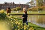 Free National Trust Family Day Pass via online registration at Wales Online / Other Reach PLC Titles 200,000 Passes @ National Trust