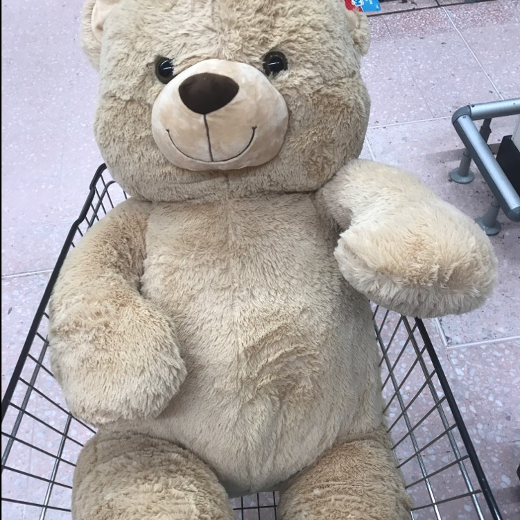 asda huge teddy