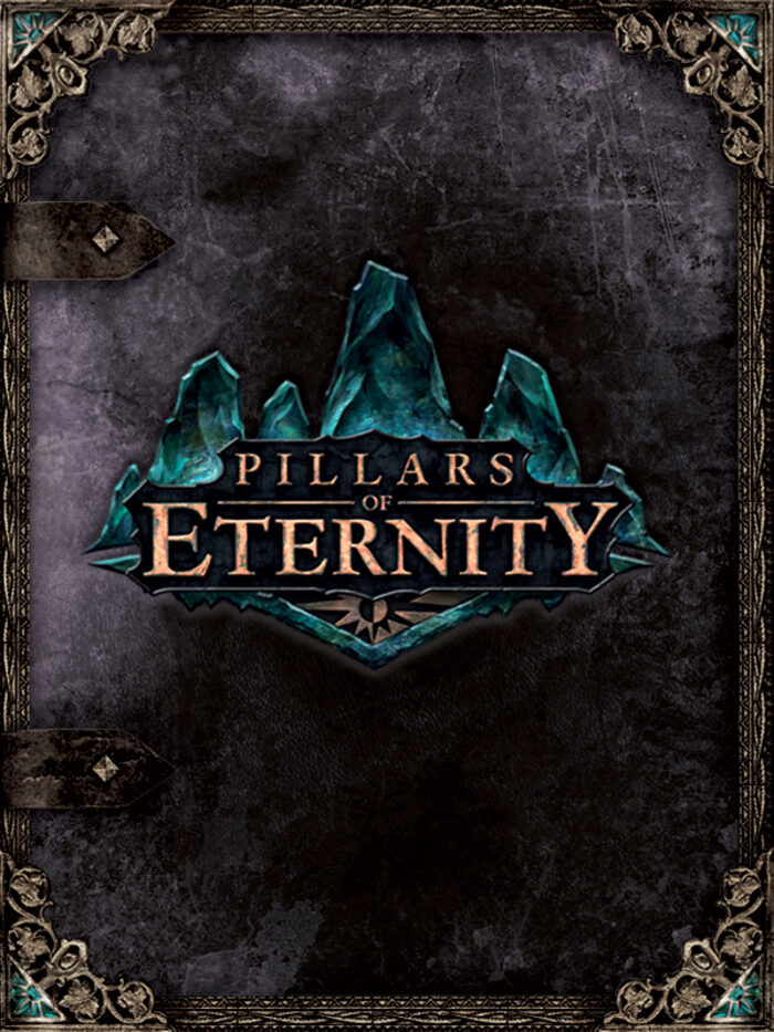 Pillars of eternity hero edition что входит