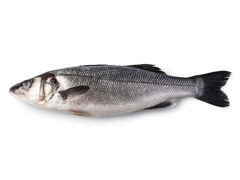 Whole Sea Bass Or Sea Bream £2 Each At The Fish Counter @ Morrisons ...