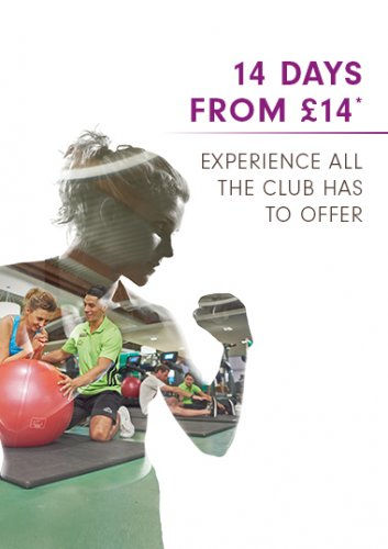 david loyds membership prices
